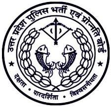 Job Image